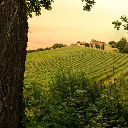 Casali Di Casole - Timbers Tuscany Casole dʼElsa Екстериор снимка