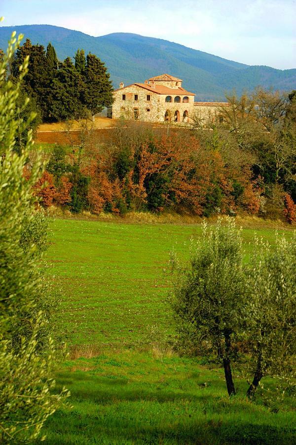 Casali Di Casole - Timbers Tuscany Casole dʼElsa Екстериор снимка